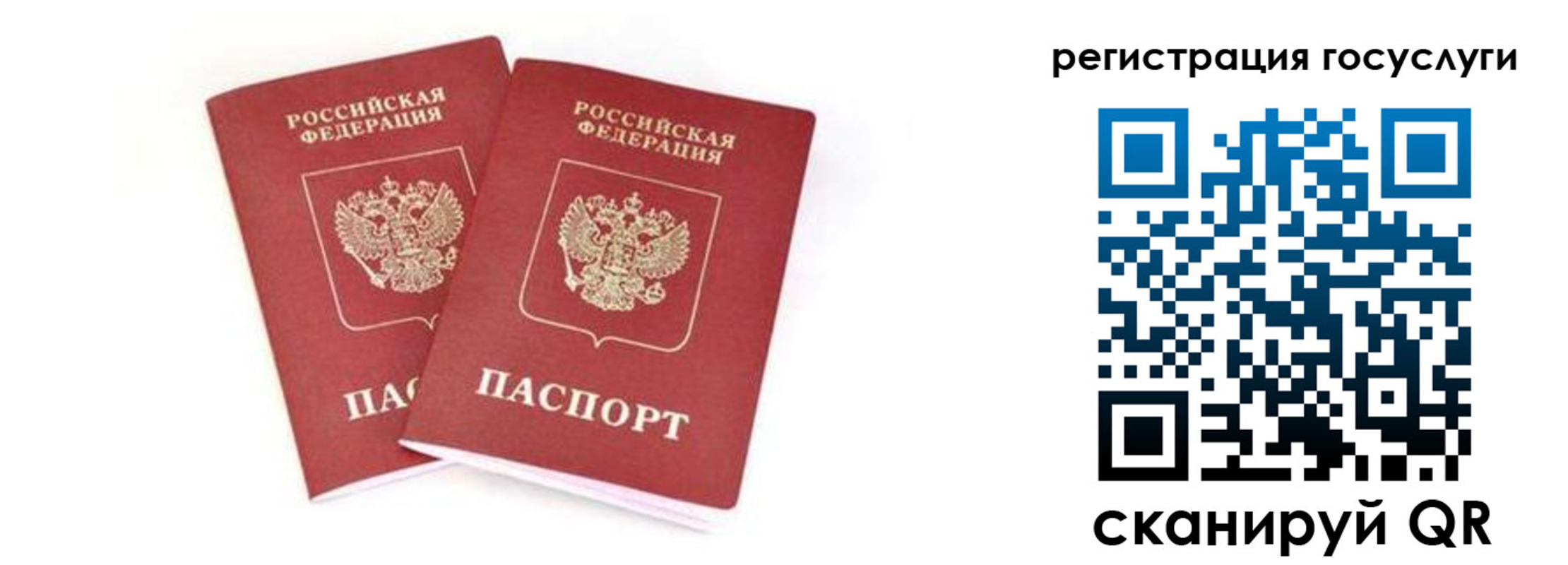 прописка в квартире в Бердске